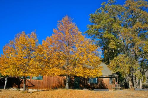 Old Pioneer Garden Country Inn - 출입구