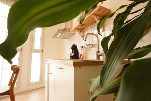  THE STAY Las Palmas VV in Las Palmas de Gran Canaria