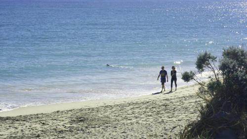 Seabreeze - Coastal Living