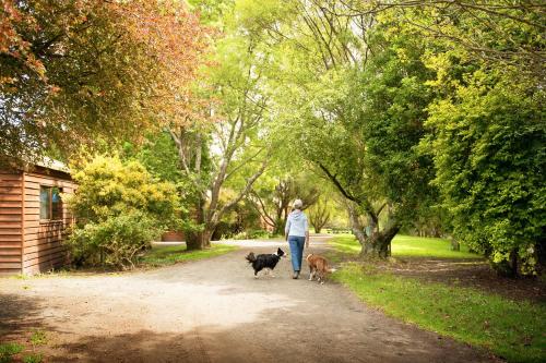 . Johanna River Farm & Cottages