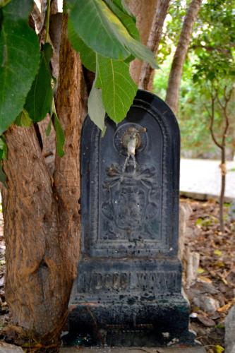 Il Giardino di Ballarò