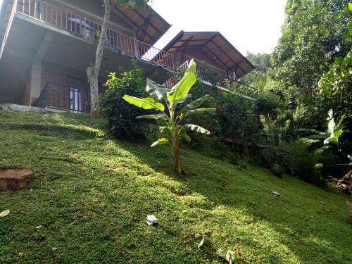 Deluxe Double or Twin Room with Mountain View image 10