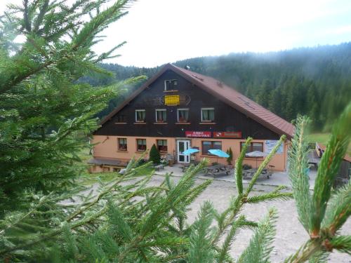 Auberge Des Hauts Viaux - Hôtel - La Bresse