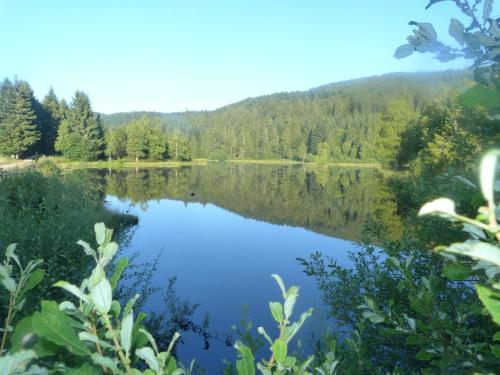 Auberge Des Hauts Viaux - main image