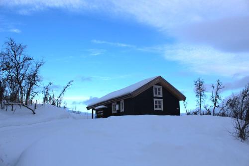 Linnaeus - 6 person cabin, Ål (foto 8)