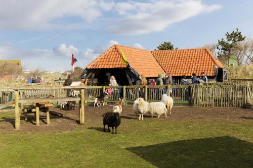 Center Parcs Zandvoort beach - image 11