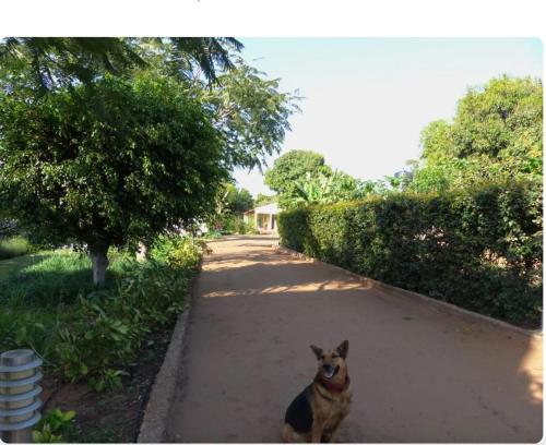 Ancha's Oasis, Maputo