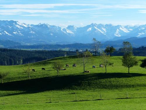 Ferienwohnung Allgäuer Bergwelt