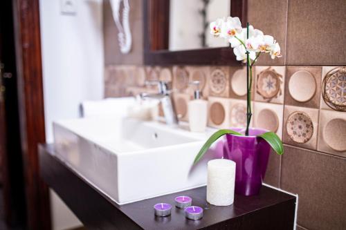 A Hotel Com Hotel Floare De Colt Hotel Mănăstirea Humorului