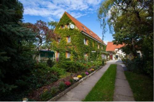 Pension-Kleint-Wohnung-1 - Apartment - Radebeul