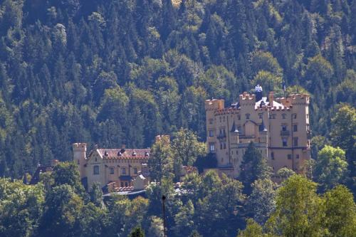 Hotel Waldmann - image 11