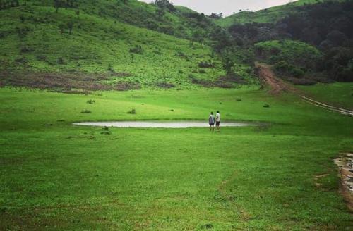 Mandaara homestay Hongadahalla, Sakleshpur