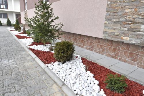 Olimp - image 4