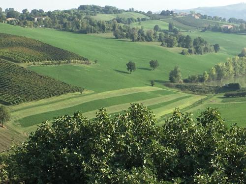  Il Giardino B&B in Castelvetro di Modena
