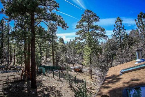 Gracie's Cabin-1518 by Big Bear Vacations - image 2