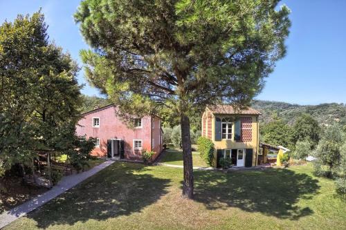  Le Pergole by Salogi Villas in Santo Stefano