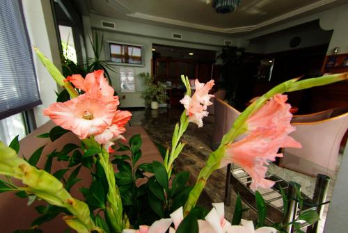 Hotel Villa Marija - image 10