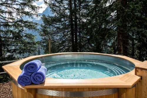 Chalchboda 1, Arosa (zdjęcie 2)