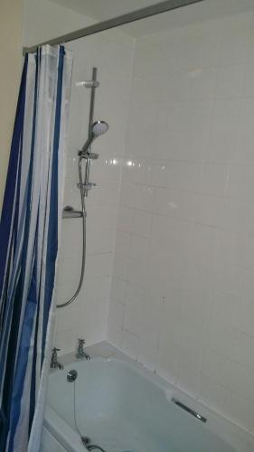 Lerwick Garden Apartment in Leachkin