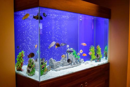 Mekke Hotel Istanbul - image 9