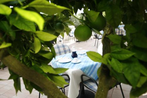 Hotel Villa Marija - image 4