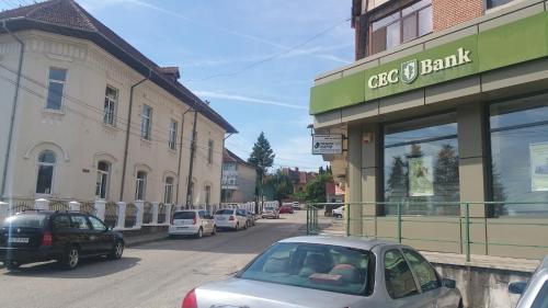 Apartament Lavinia in Călimănești