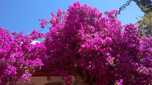 B&B Vacanza Facile 4