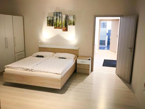 Apartmán 501 (Apartman 501) in ستاري سموكوفيك