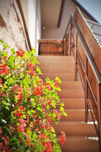 مدخل, Apartmán 501 (Apartman 501) in ستاري سموكوفيك