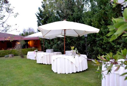 Country House Il Piancardato - image 11