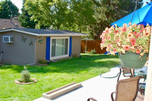 Blue Bear Den 3BR 2BA DTC Private Apt Hot Tub detail