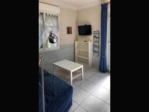 Les Agapanthes La Riche - image 14