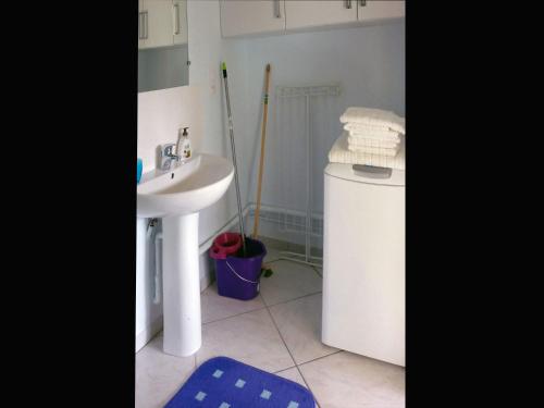 Les Agapanthes La Riche - image 13