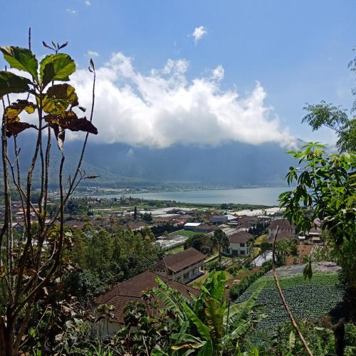 ECO Bedugul adventurer camp near Bedugul Botanical Garden