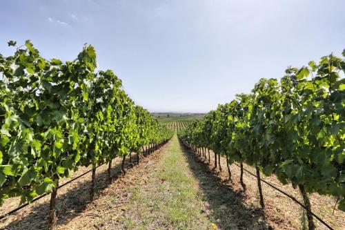 Agriturismo Terrarossa