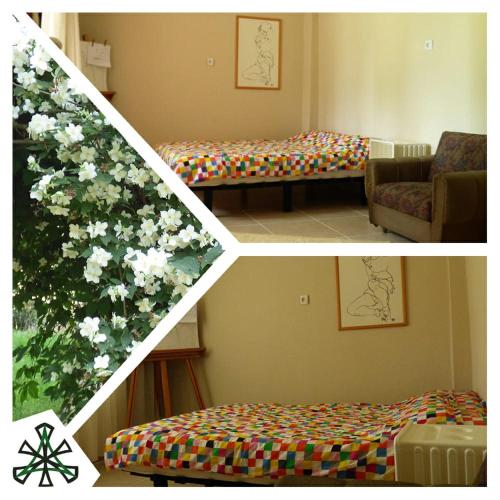 HarmonyPine Hostel, Pension in Istanbul bei Istanbul