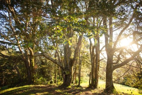 Meular Chiloe B&B Hotel Boutique