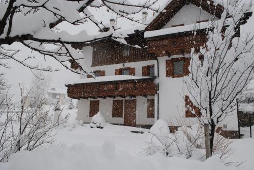  Appartamenti Casavacanzepejo in Cogolo
