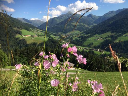 المنطقة المحيطة, Apartment Haus Dahoam in Alpbach