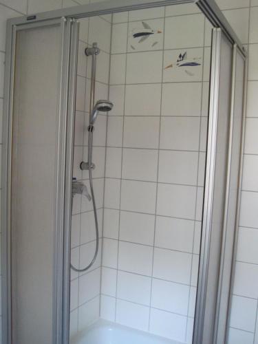 Zuhanyzó, Ländliche 1-Raumwohnung im Park (Landliche 1-Raumwohnung im Park) in Thulendorf