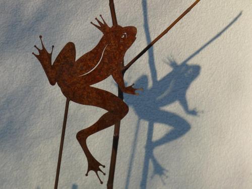 Gasthof Hotel Doktorwirt - image 12