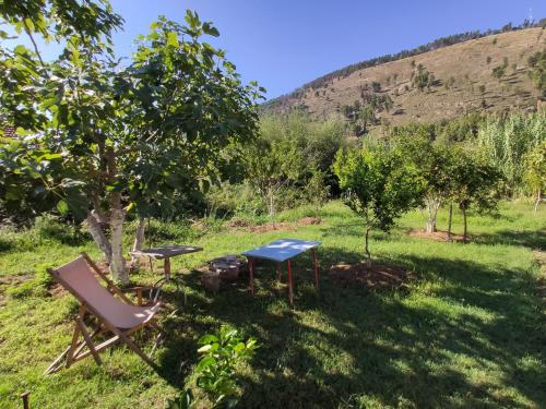 Olive B&B – Berat, IA