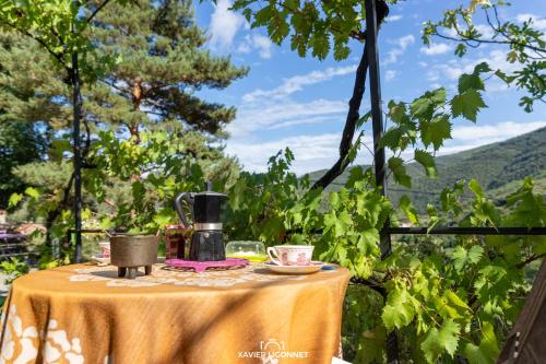 Le Petit Paradis - Chambre d'hôtes - Prémian