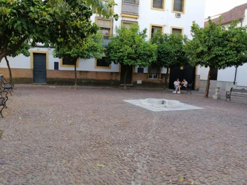 CALLE ABEJAR,PLAZA, Córdoba (fotografie 3)