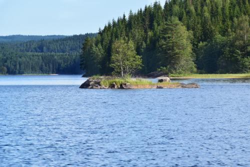 Surrounding environment, Ferienhaus Stenbacken in Mittelschweden in Tocksfors