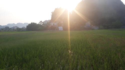 Center Tam Coc homestay in Ninh Bình