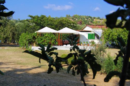 Theofano seaside farmhouse in Skioni, Halkidiki gîte à louer Kaloutsikos