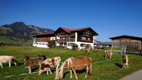 Haflinger Hof - Apartment - Obermaiselstein-Grasgehren