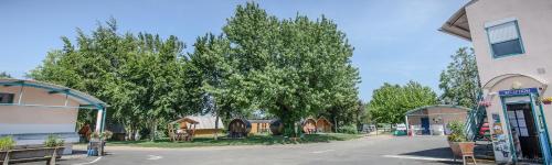 Camping de Tournus - Drole de cabane