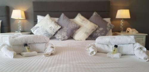 The Falcon Hotel - image 11